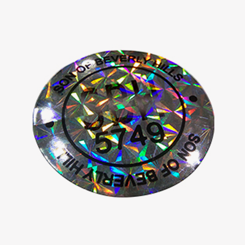 Security Hologram 3